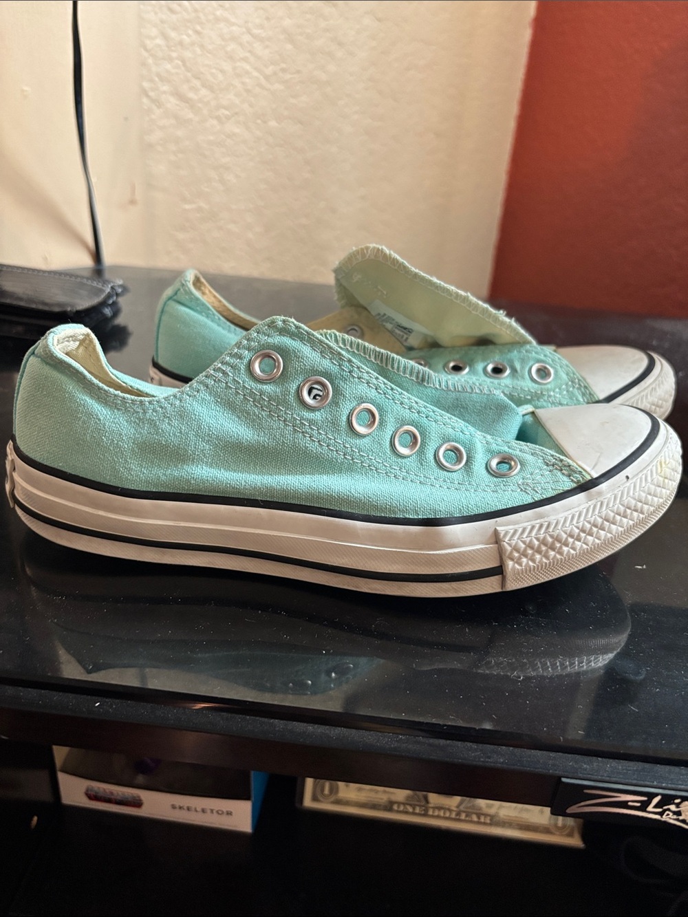 Shoe strings included Canvas Sneakers in Mint Green